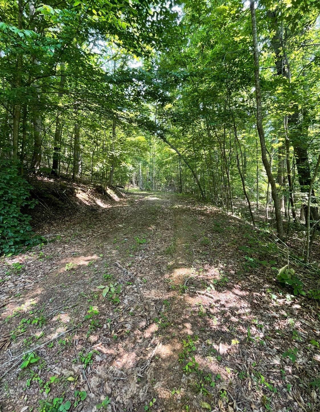 Christian Mill Creek Rd., Amherst, Virginia image 7