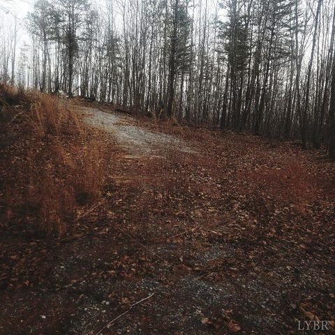Photo of 0 Mountain Creek Rd, Green Bay, VA 23942 (MLS # 363468)