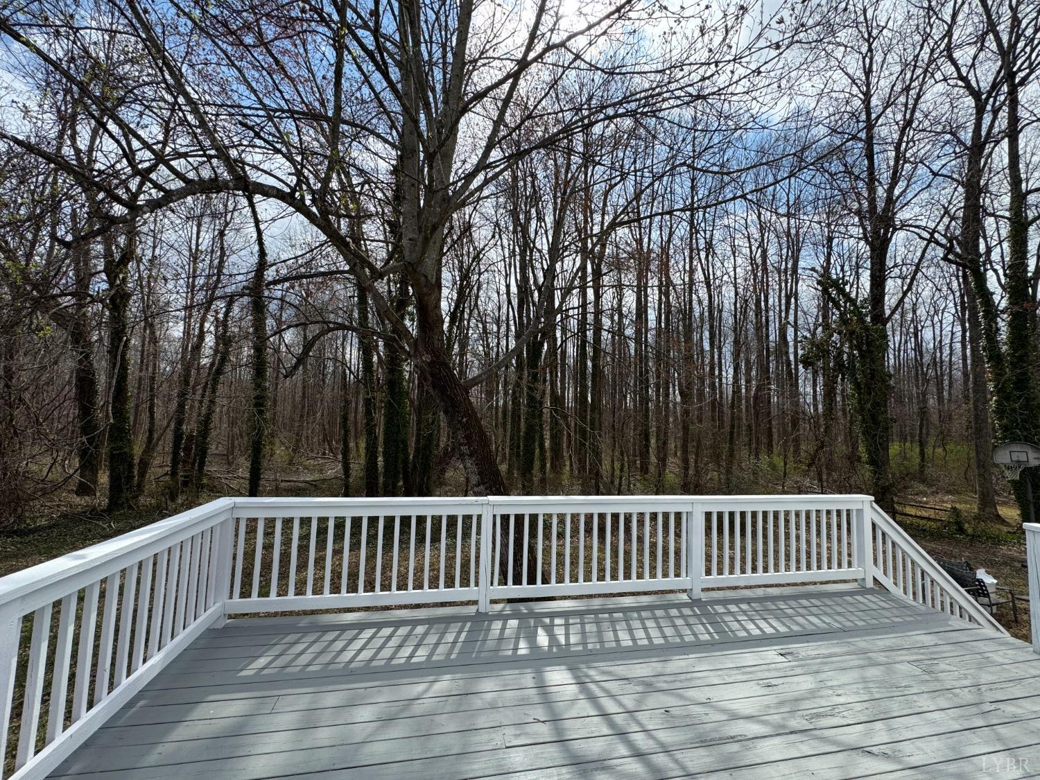 310 Lee Grant Avenue, Appomattox, Virginia image 18