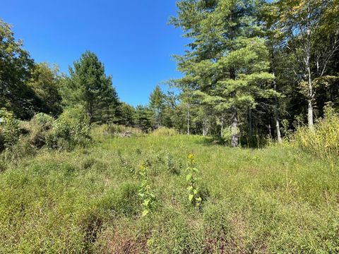 Photo of 0 Founding Way, Bedford, VA 24523 (MLS # 361931)