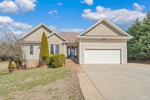Photo of 1017 Hooper Woods Drive, Forest, VA 24551 (MLS # 364893)