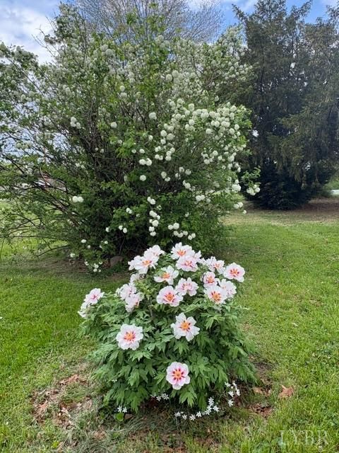 Tiny photo for 10703 Richmond Highway, Lynchburg, VA 24504 (MLS # 366719)