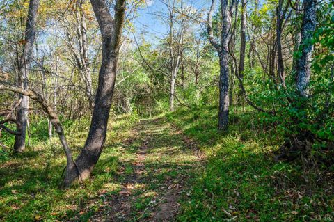 Tiny photo for 1170 Nickolas Berten Way, Lynchburg, VA 24502 (MLS # 362719)