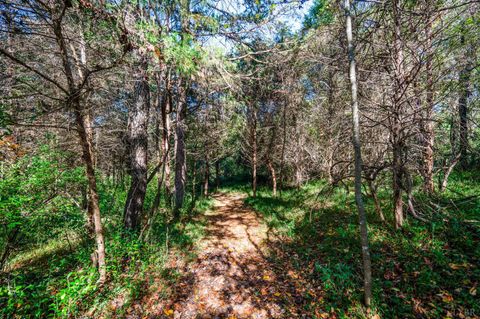 Tiny photo for 1170 Nickolas Berten Way, Lynchburg, VA 24502 (MLS # 362719)