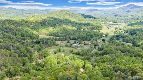 Tiny photo for 8664 Martins Creek Road Rd, Roanoke, VA 24018 (MLS # 366097)