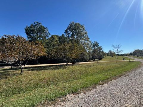 Tiny photo for 827 Wolf Creek Lane, Appomattox, VA 24522 (MLS # 362470)