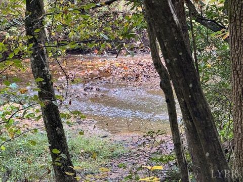 Tiny photo for 827 Wolf Creek Lane, Appomattox, VA 24522 (MLS # 362470)