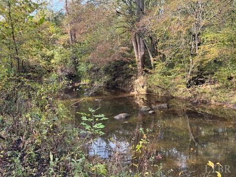 Tiny photo for 827 Wolf Creek Lane, Appomattox, VA 24522 (MLS # 362470)