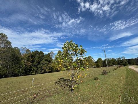 Tiny photo for 827 Wolf Creek Lane, Appomattox, VA 24522 (MLS # 362470)