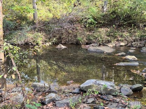 Tiny photo for 827 Wolf Creek Lane, Appomattox, VA 24522 (MLS # 362470)