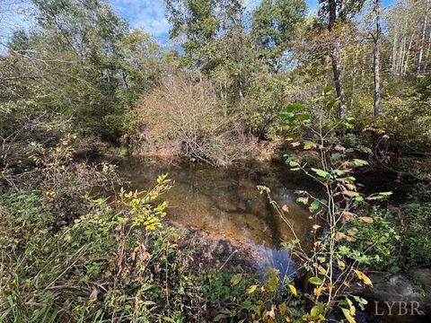 Tiny photo for 827 Wolf Creek Lane, Appomattox, VA 24522 (MLS # 362470)
