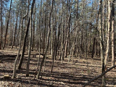 Tiny photo for 0 Saber Court, Forest, VA 24551 (MLS # 364480)