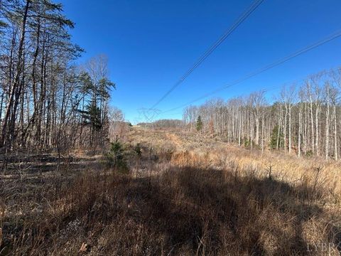 Tiny photo for 0 Saber Court, Forest, VA 24551 (MLS # 364480)