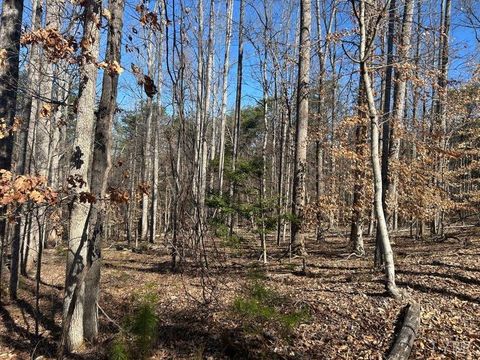 Tiny photo for 0 Saber Court, Forest, VA 24551 (MLS # 364480)
