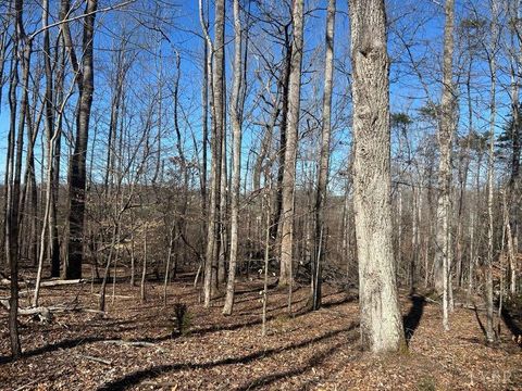 Tiny photo for 0 Saber Court, Forest, VA 24551 (MLS # 364480)