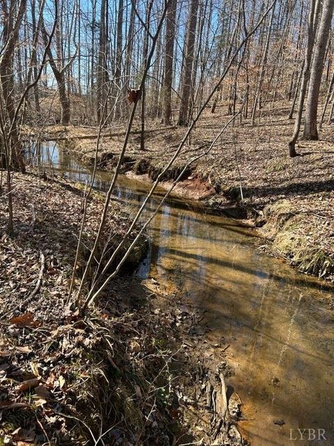 Tiny photo for 0 Saber Court, Forest, VA 24551 (MLS # 364480)