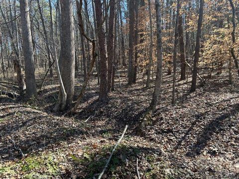 Tiny photo for 0 Saber Court, Forest, VA 24551 (MLS # 364480)