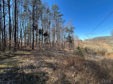 Tiny photo for 0 Saber Court, Forest, VA 24551 (MLS # 364480)
