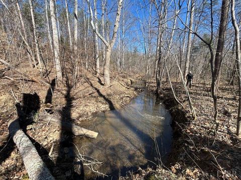 Tiny photo for 0 Saber Court, Forest, VA 24551 (MLS # 364480)