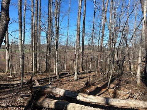 Tiny photo for 0 Saber Court, Forest, VA 24551 (MLS # 364480)