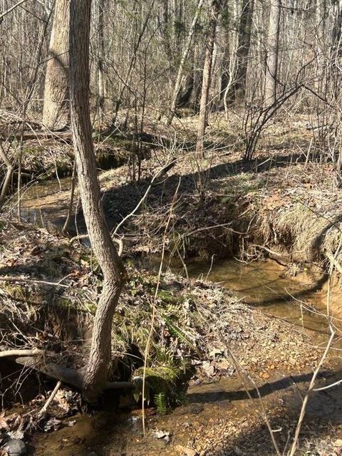 Tiny photo for 0 Saber Court, Forest, VA 24551 (MLS # 364480)