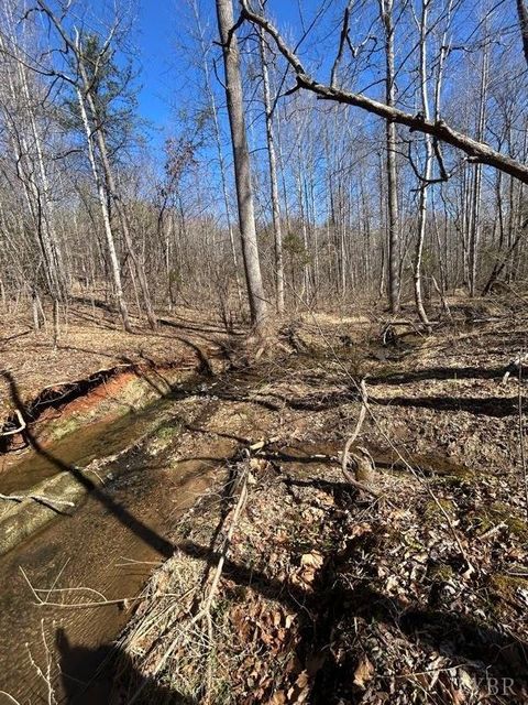 Tiny photo for 0 Saber Court, Forest, VA 24551 (MLS # 364480)