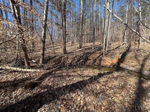 Tiny photo for 0 Saber Court, Forest, VA 24551 (MLS # 364480)