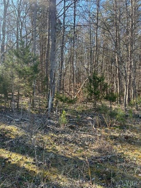 Tiny photo for 0 Saber Court, Forest, VA 24551 (MLS # 364480)