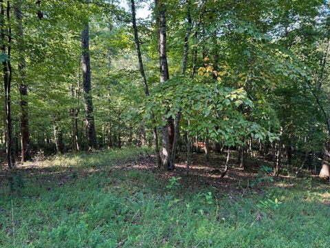 Tiny photo for 2 Cedar Bluff Lane, Hardy, VA 24101 (MLS # 362388)