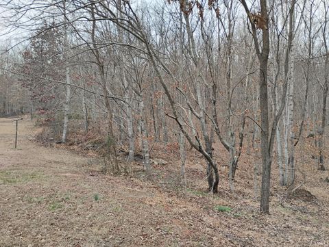 Tiny photo for 4183 TYE RIVER Road, Amherst, VA 24521 (MLS # 364007)