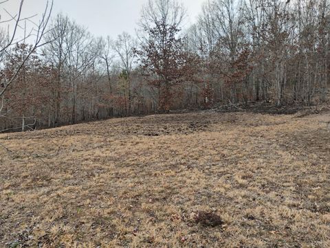 Tiny photo for 4183 TYE RIVER Road, Amherst, VA 24521 (MLS # 364007)