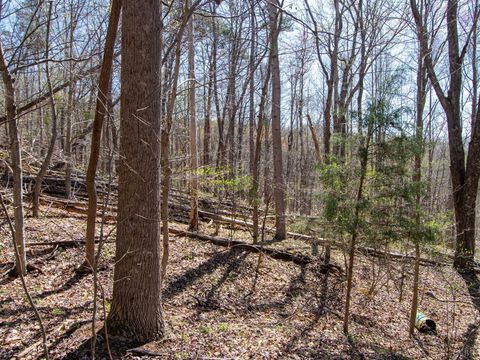 Tiny photo for 9 Oak Dr, Moneta, VA 24121 (MLS # 365207)