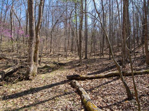 Tiny photo for 9 Oak Dr, Moneta, VA 24121 (MLS # 365207)