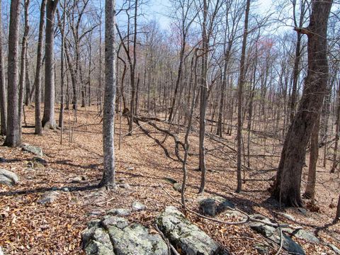 Tiny photo for 9 Oak Dr, Moneta, VA 24121 (MLS # 365207)