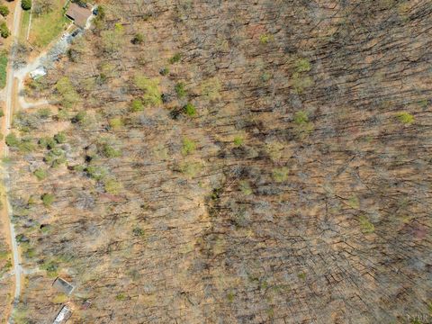 Tiny photo for 9 Oak Dr, Moneta, VA 24121 (MLS # 365207)