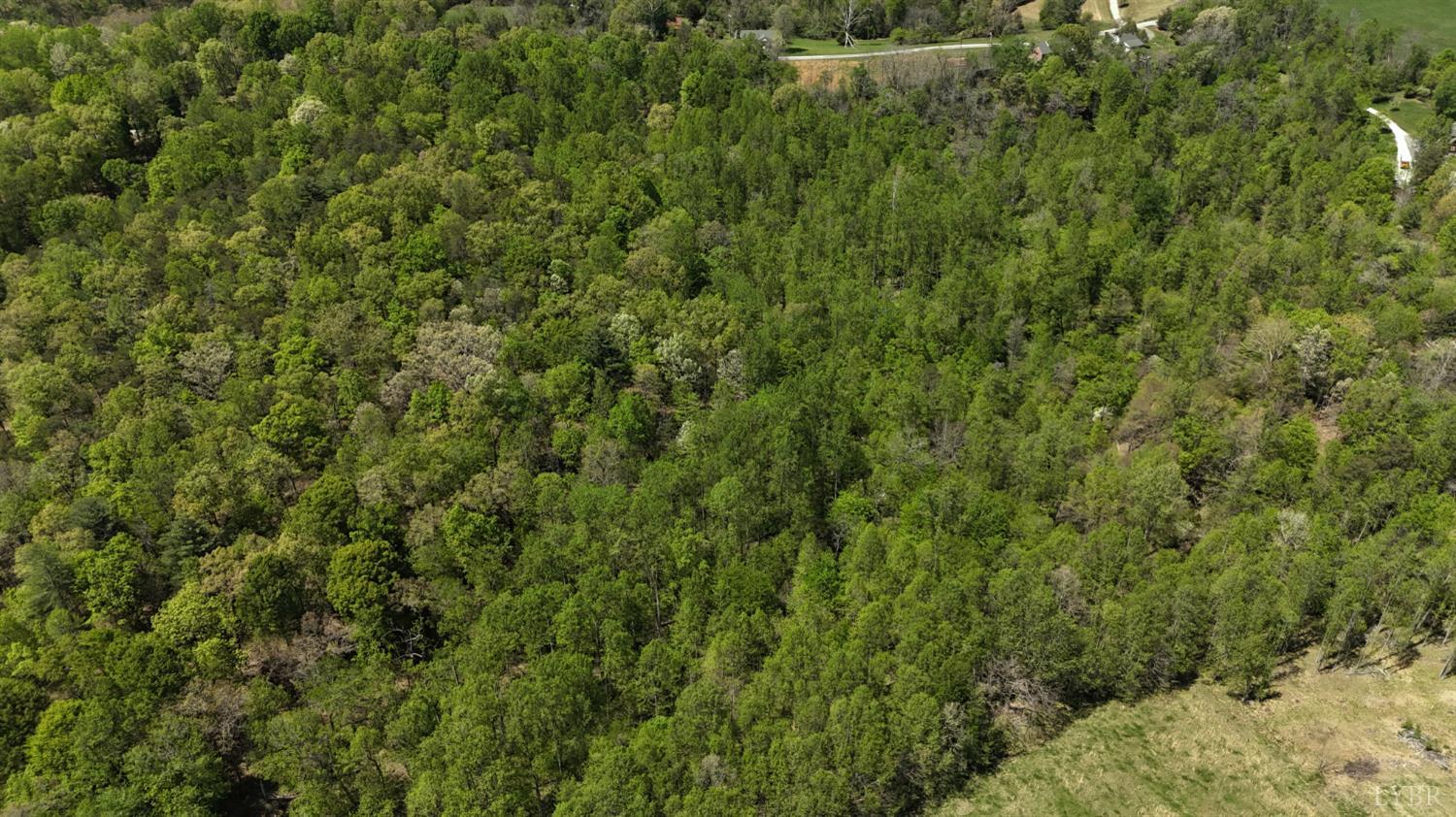 Gidsville Lot 2a Road, Amherst, Virginia image 3