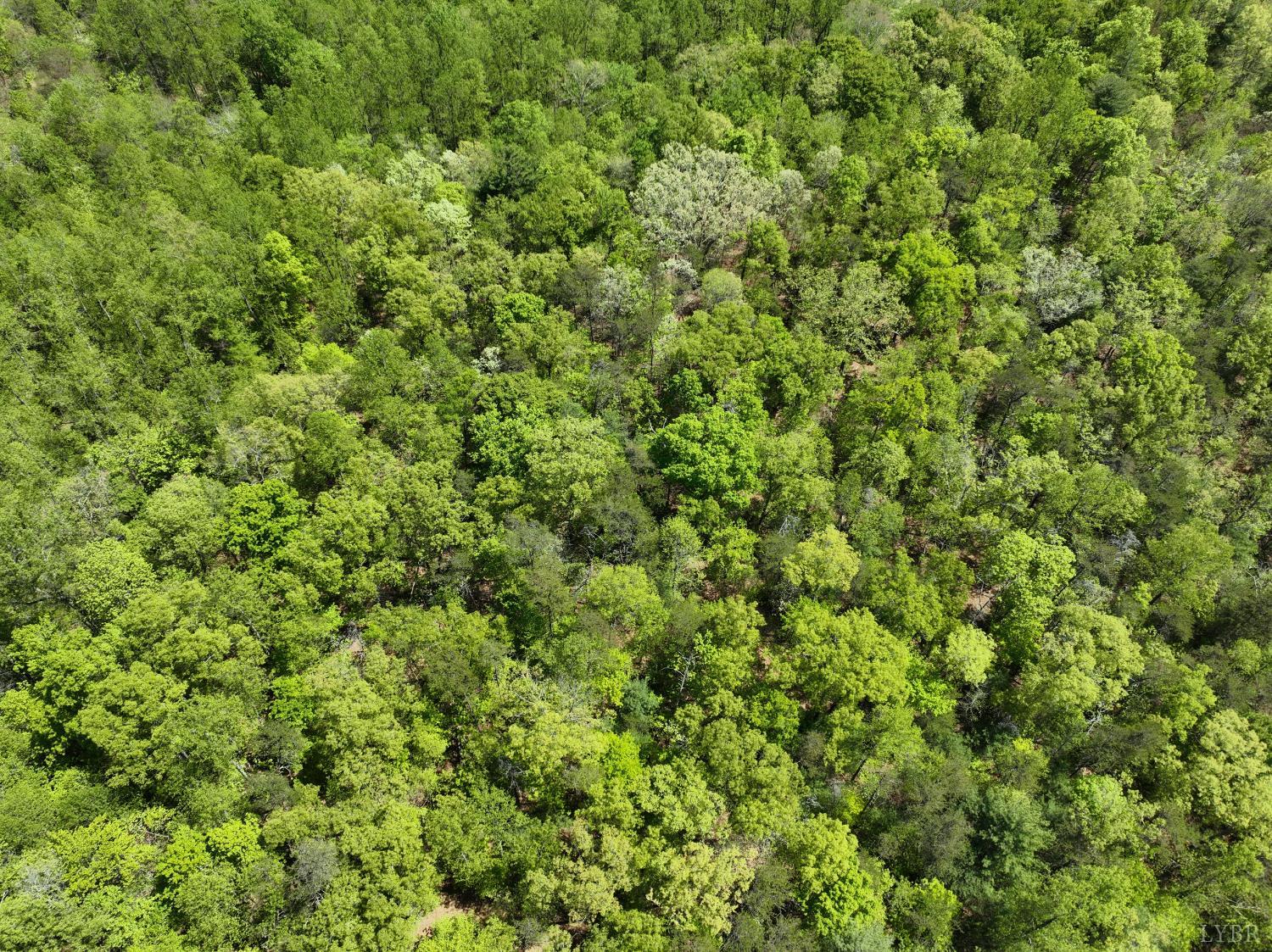 Gidsville Lot 2a Road, Amherst, Virginia image 8