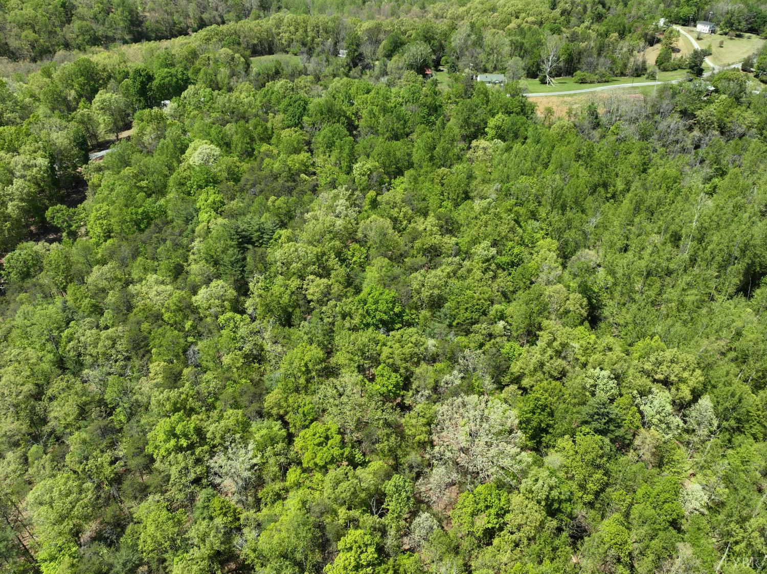 Gidsville Lot 2a Road, Amherst, Virginia image 11
