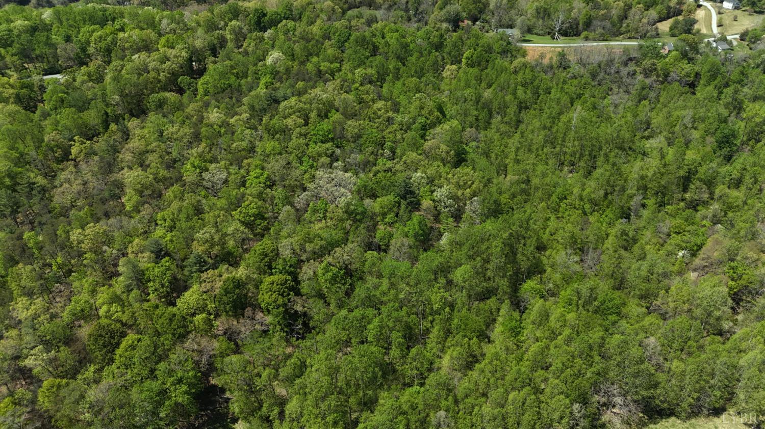 Gidsville Lot 2a Road, Amherst, Virginia image 4