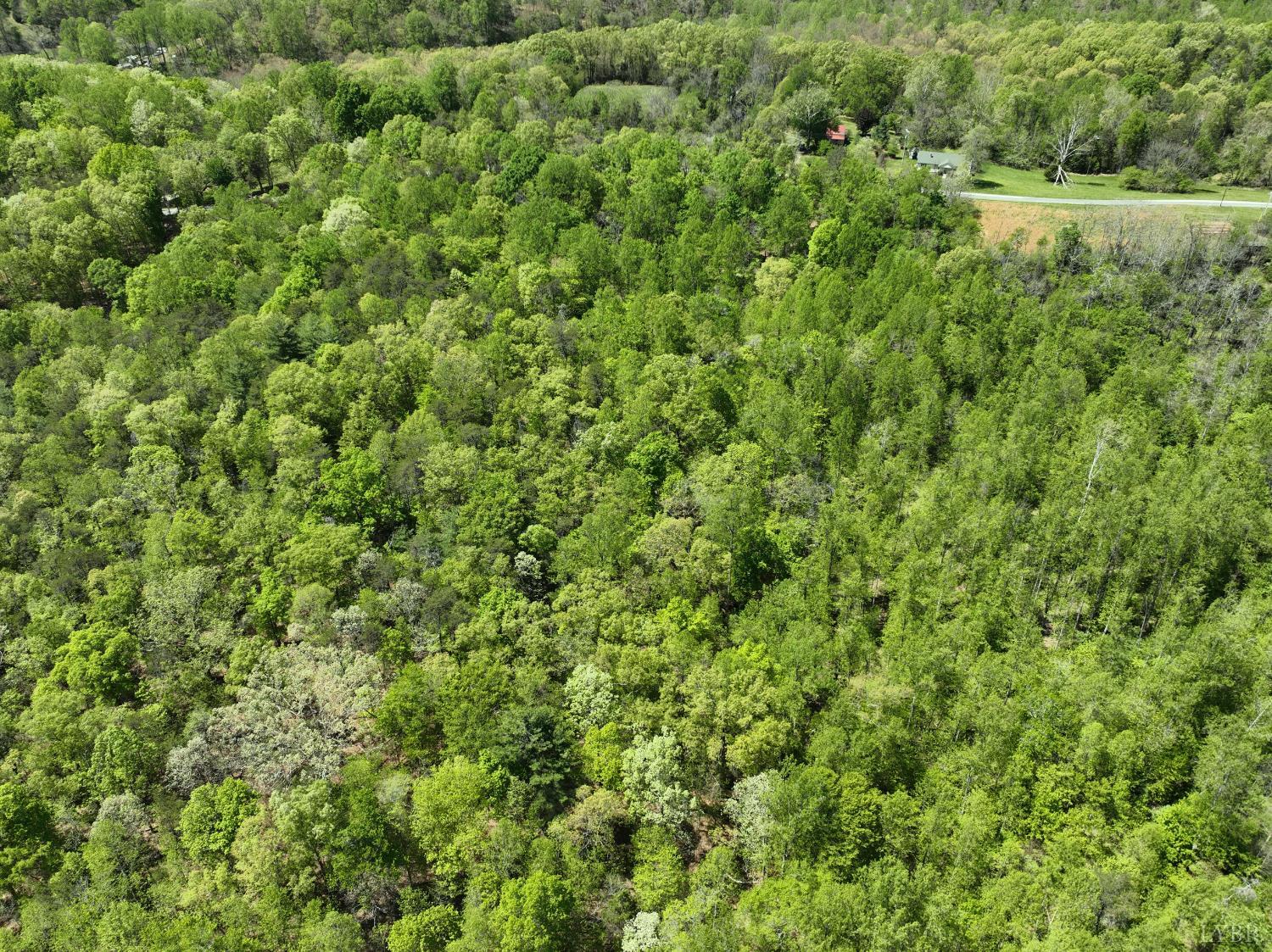 Gidsville Lot 2a Road, Amherst, Virginia image 10