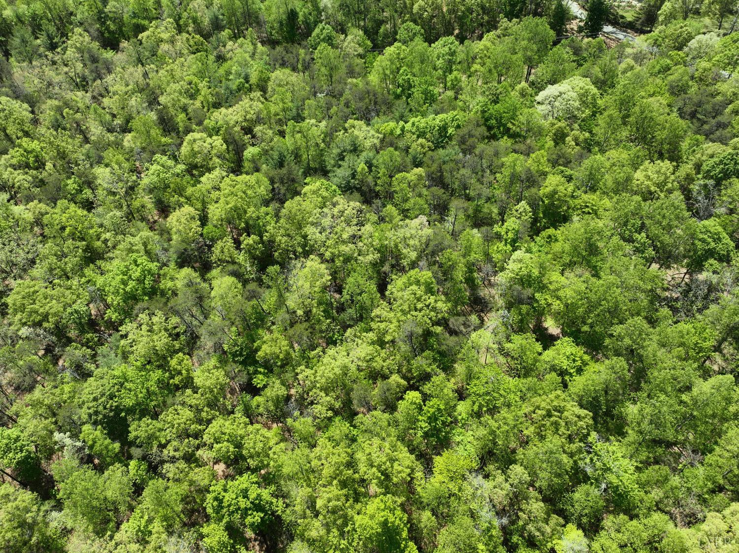 Gidsville Lot 2a Road, Amherst, Virginia image 9
