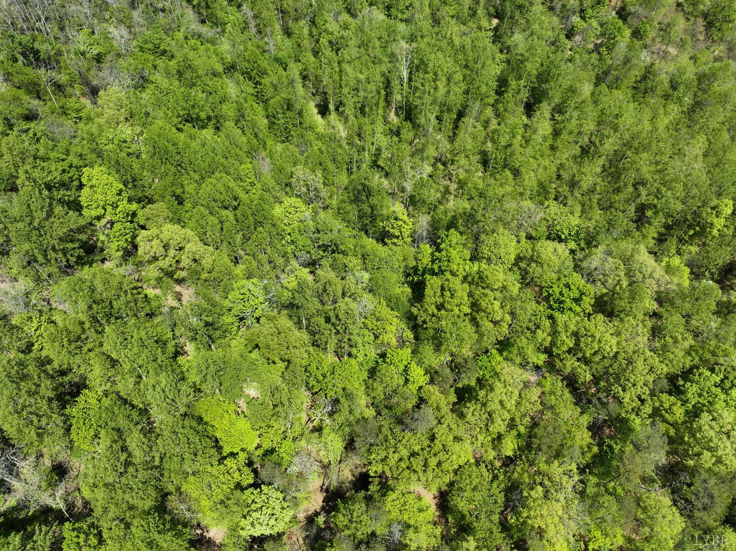 Gidsville Lot 2a Road, Amherst, Virginia image 7