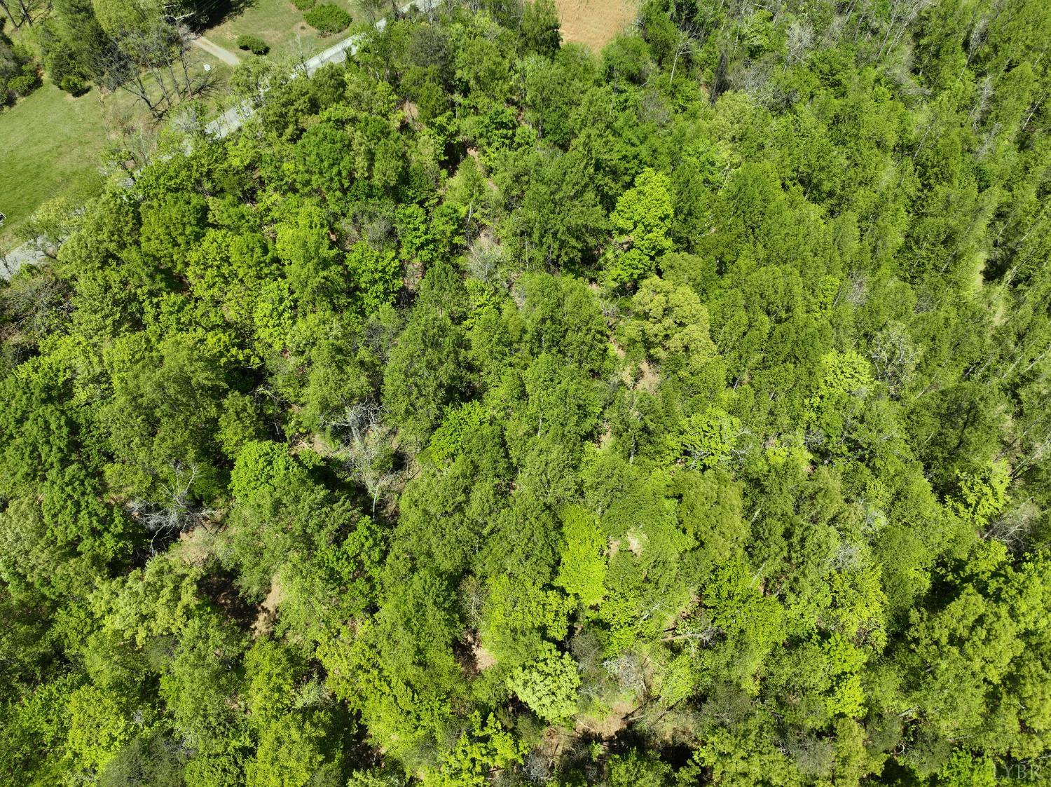 Gidsville Lot 2a Road, Amherst, Virginia image 6