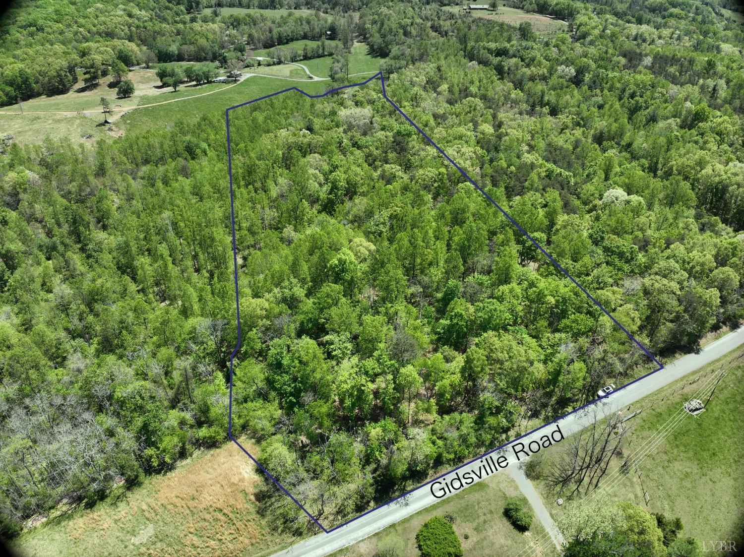 Gidsville Lot 2a Road, Amherst, Virginia image 2