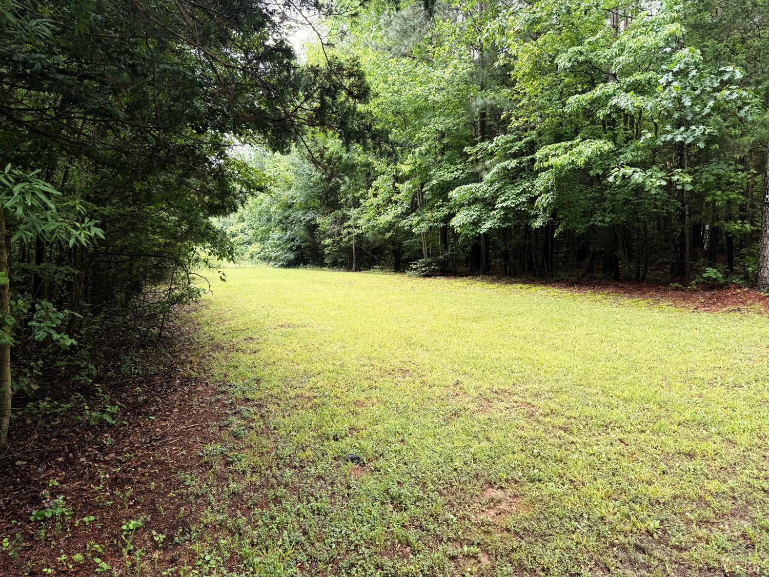 824 Double Bridges Rd, Keysville, Virginia image 47
