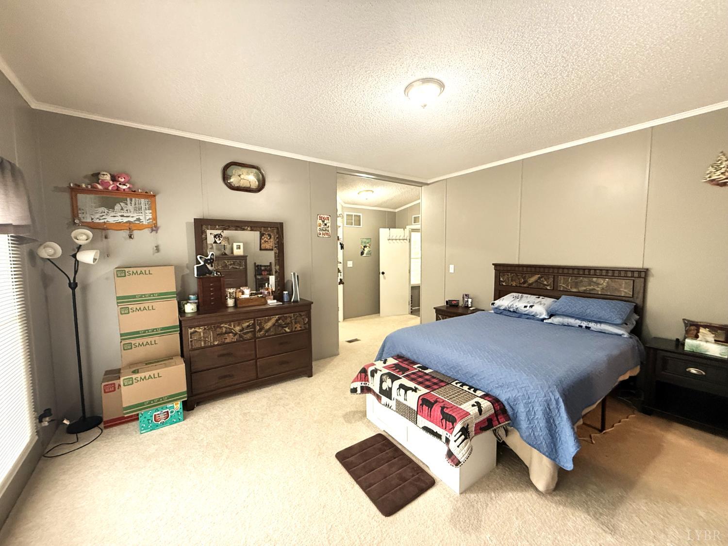 824 Double Bridges Rd, Keysville, Virginia image 14
