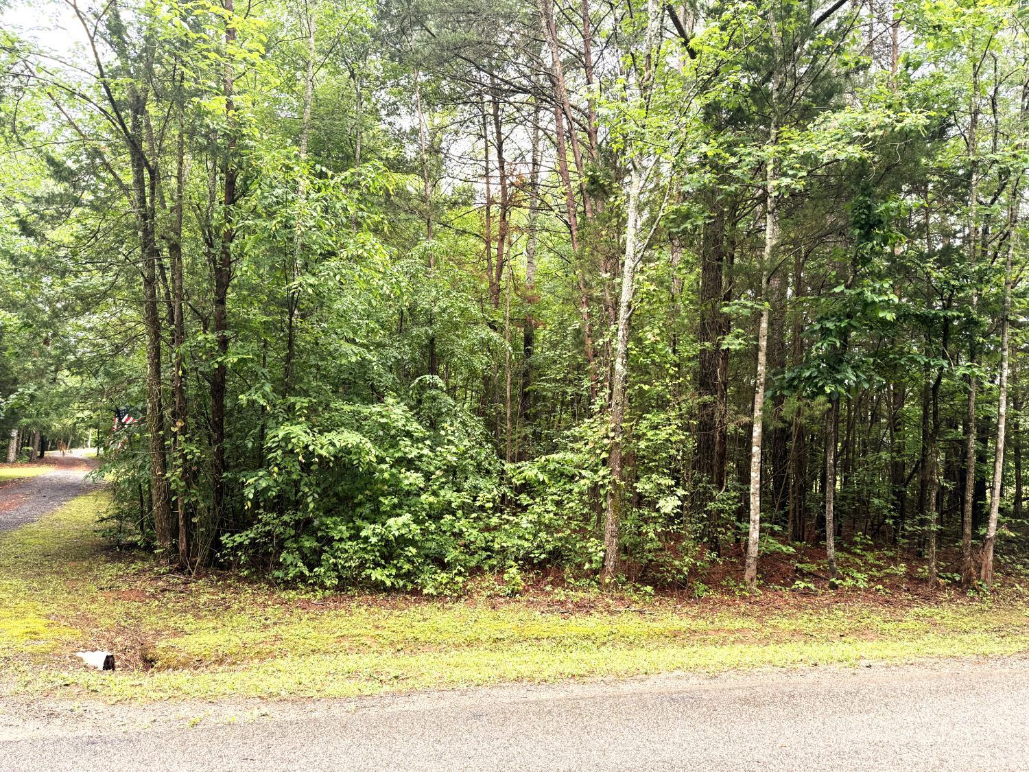 824 Double Bridges Rd, Keysville, Virginia image 49