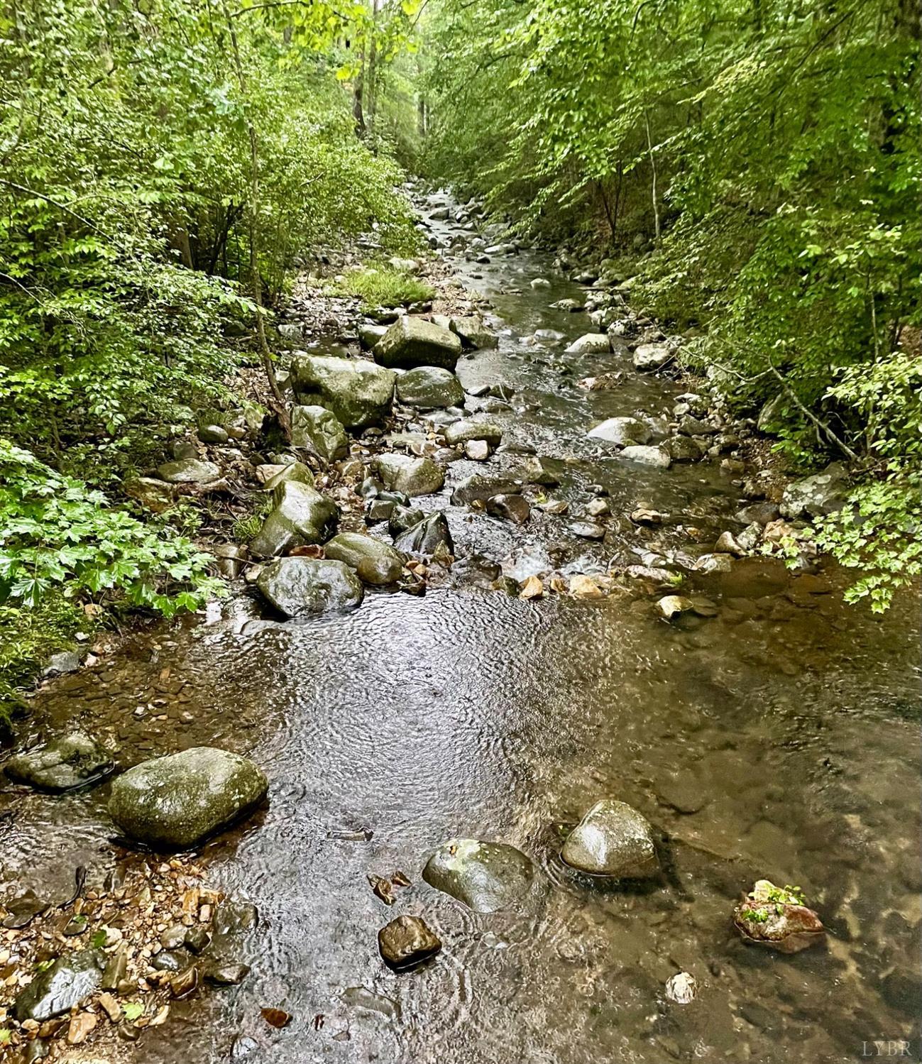 Partridge Creek Road, Madison Heights, Virginia image 7