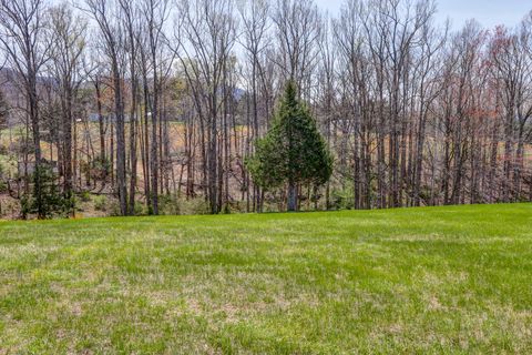 Tiny photo for 2352 Union Church Road, Thaxton, VA 24174 (MLS # 365211)