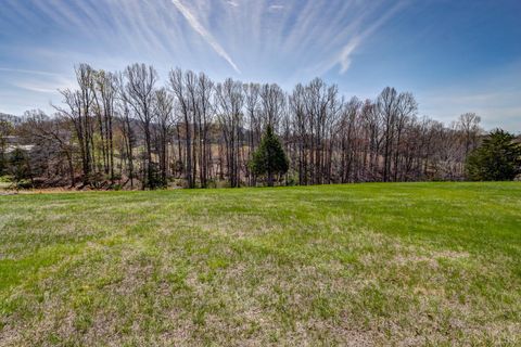 Tiny photo for 2352 Union Church Road, Thaxton, VA 24174 (MLS # 365211)